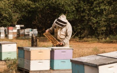 The Role of Local Beekeepers in Honeybee Relocation