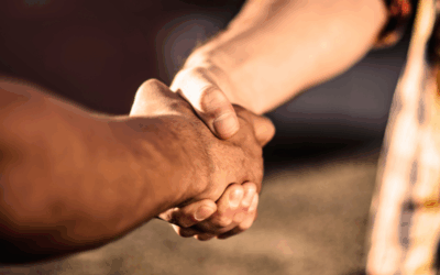 Why Licensed Pest Control Is a Must for Your Home