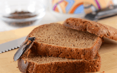 Common Winter Pests That Stay Active in Savannah Homes