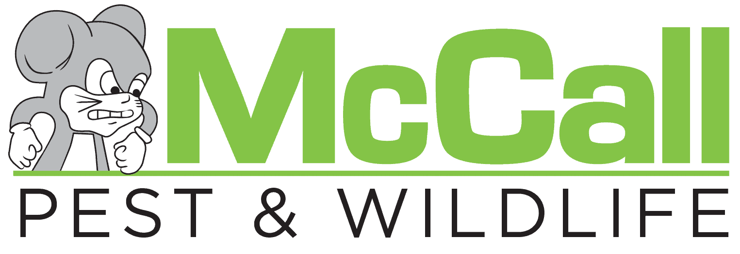 McCall Pest & Wildlife