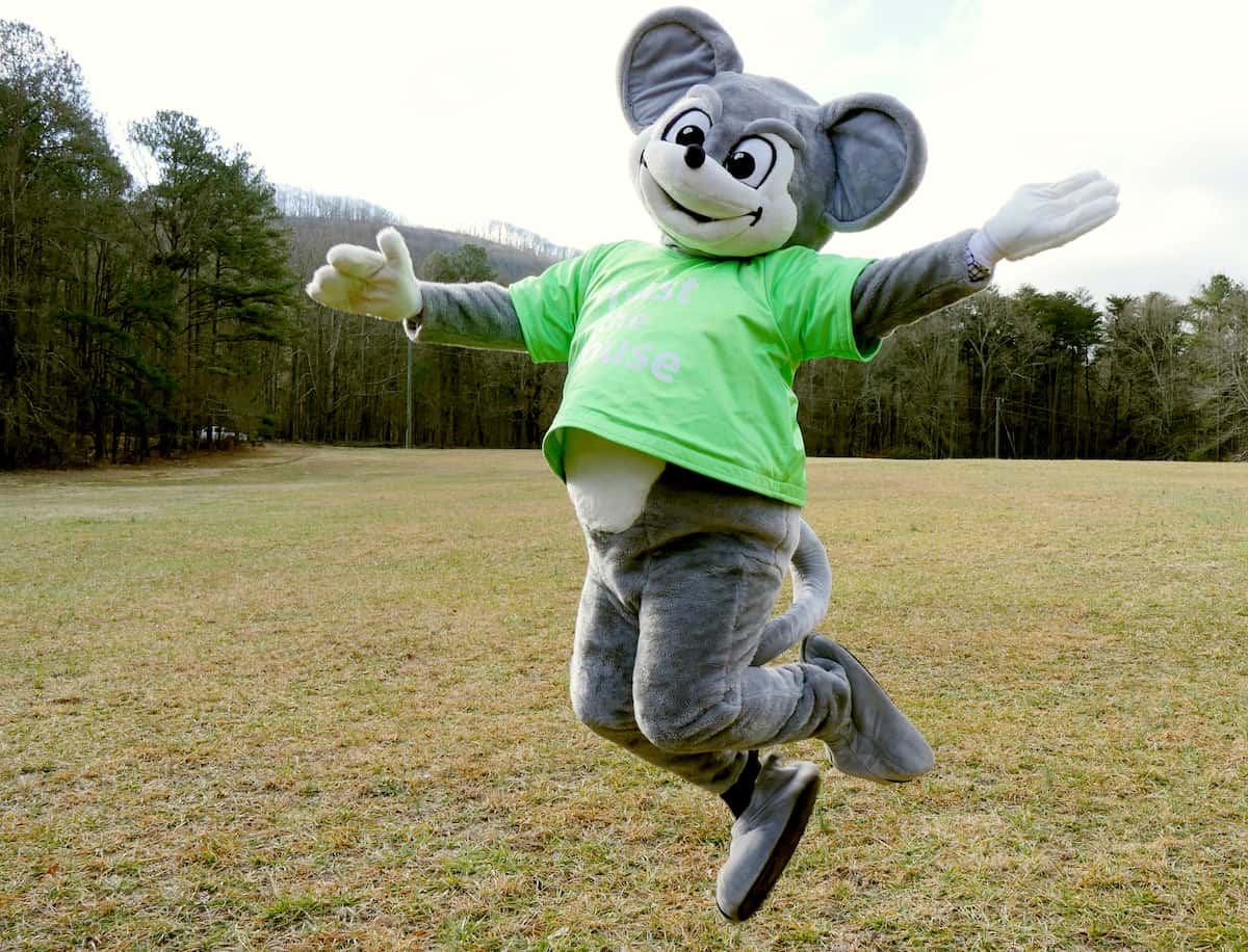 northwest mouse northwest mouse