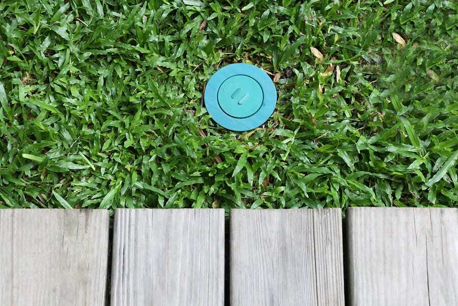 What Macon Homeowners Should Know About Termite Control