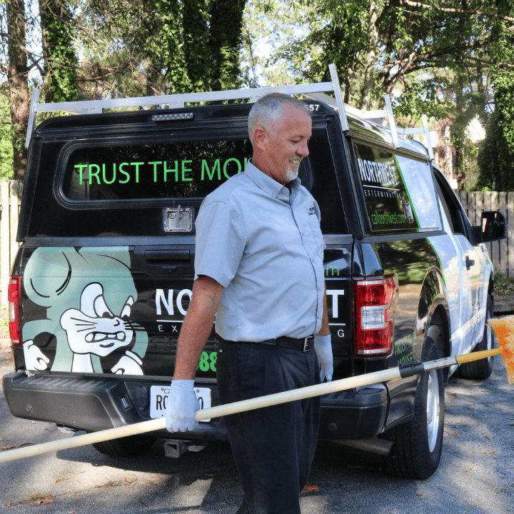 northwest pest control northwest pest control