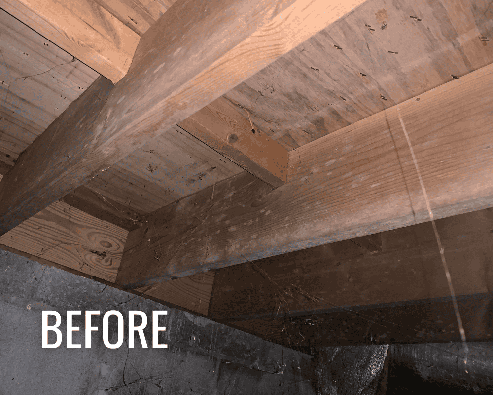 Before CrawlSpace Seal