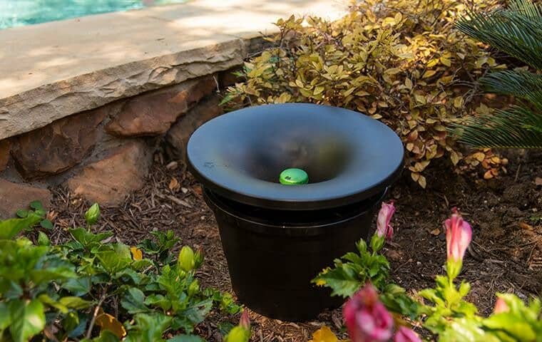 Why In2Care is the Best Mosquito Control Solution for Fort Myers Homes