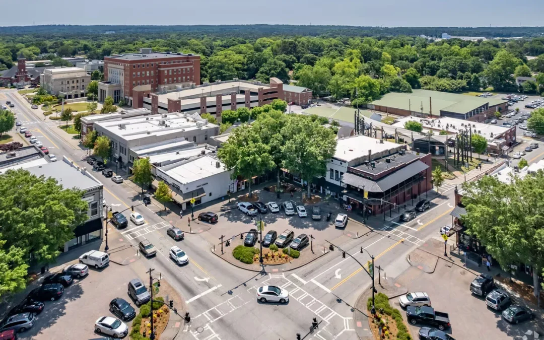 Spring into Action: Protecting Your Carrollton Home from Warm-Weather Pests