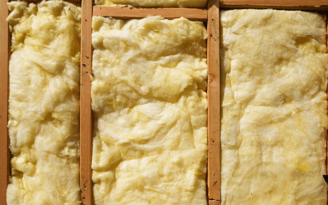 Heard Something in the Attic? 5 Pests (and Insulation Issues) That Love South Carolina Homes