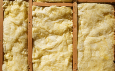 Heard Something in the Attic? 5 Pests (and Insulation Issues) That Love South Carolina Homes