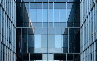 Why Your Business Needs Regular Visits from Commercial Exterminators