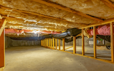 Crawlspace Care: How to Keep Pests Out of Your Naples Home