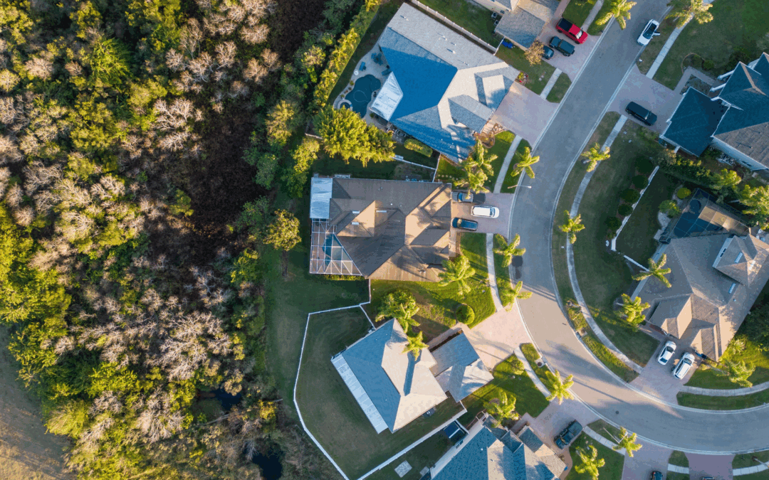 Broward Homeowners’ Guide to Natural Pest Control – The Green Way