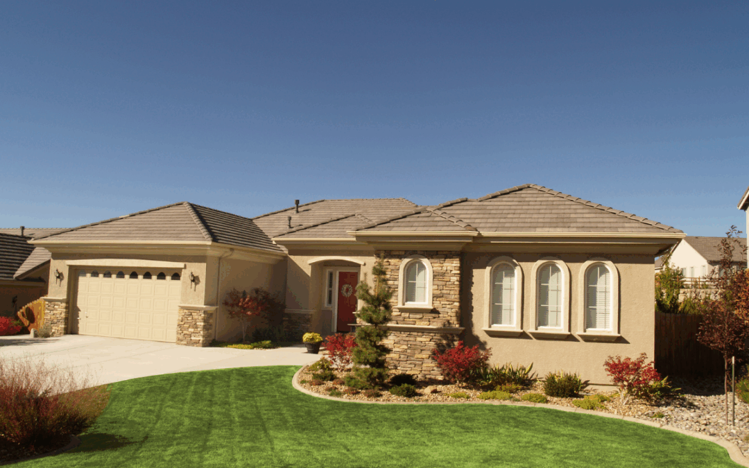 Is Pest Control Without Chemicals More Effective? Breaking Down the Myths in Florida