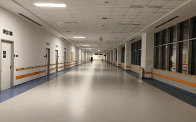 How to Choose Eco-Friendly Pest Control for Your Medical Facility