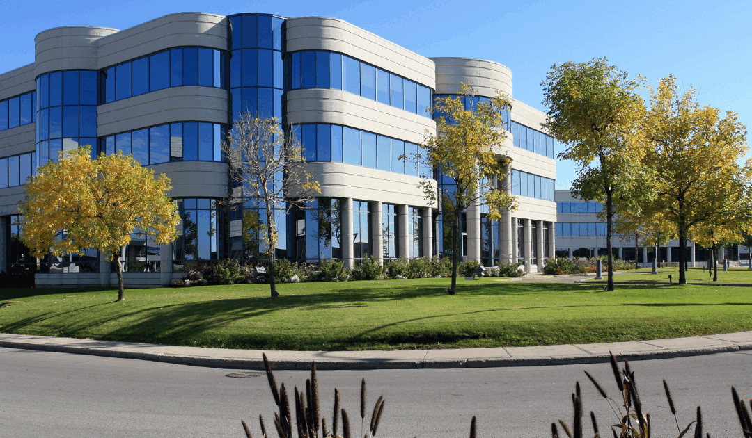 Choosing Sustainable Pest Control for Your Retail Business: A Quick Guide