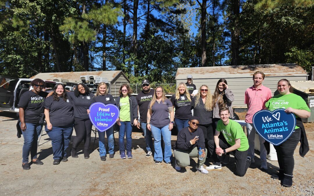 Good Deed Team Supports Local Pet Adoption by Partnering with Lifeline Animal Shelter
