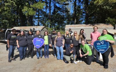 Good Deed Team Supports Local Pet Adoption by Partnering with Lifeline Animal Shelter