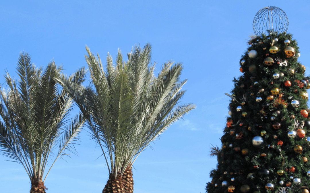 Holiday Pest-Free and Eco-Friendly: December Tips for Bonita Springs