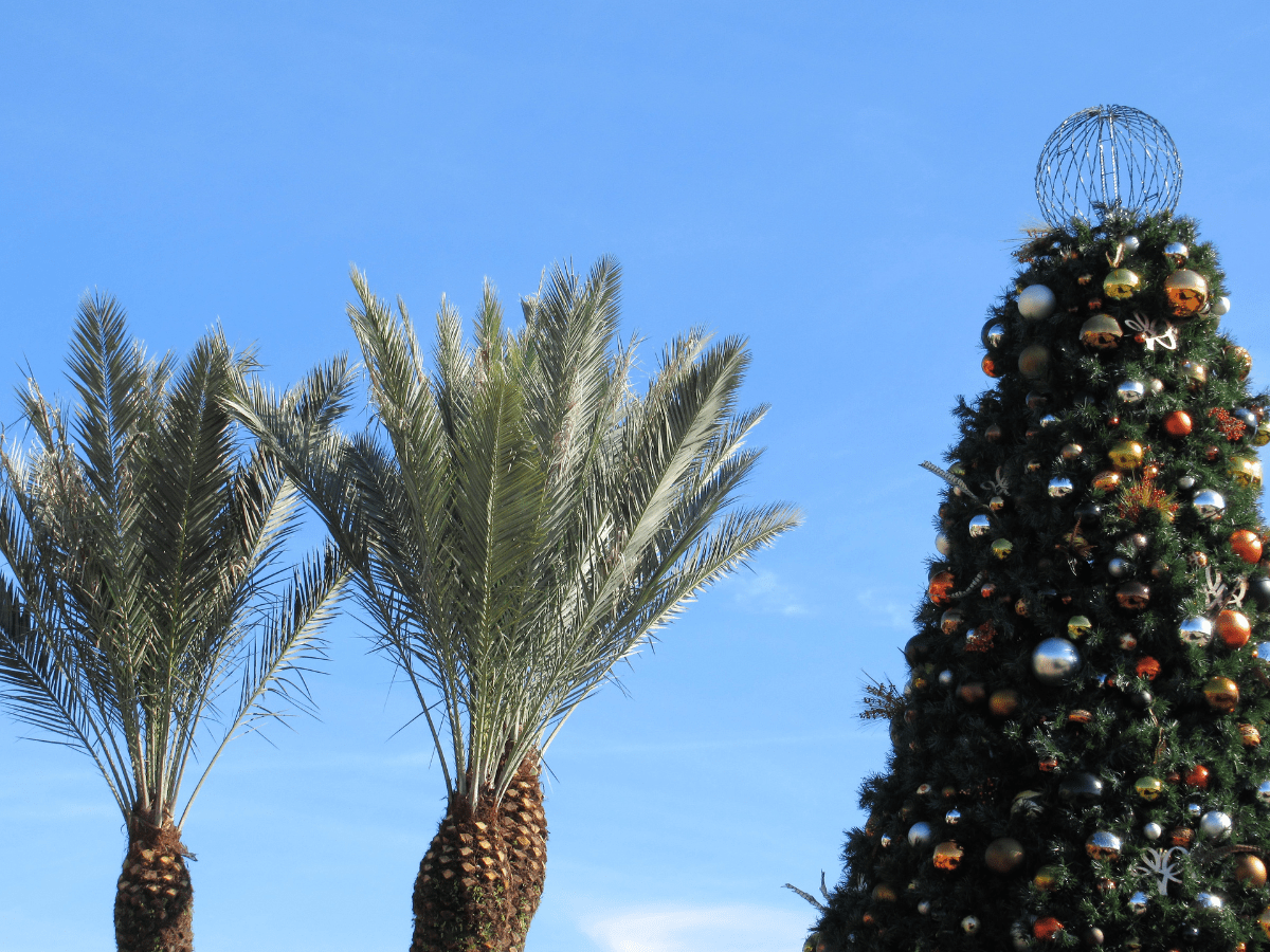 eco-friendly strategies