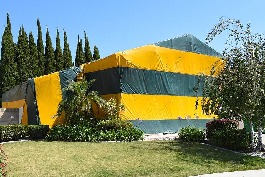 Tented Termite Fumigation