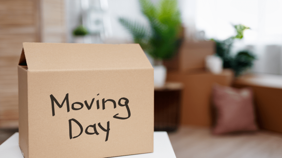 Roaches and Moving