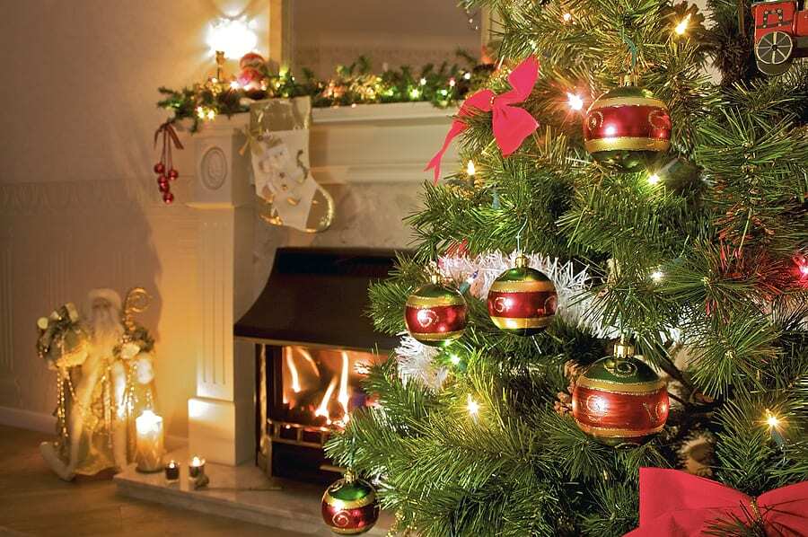 5 Holiday Pest Control Tips