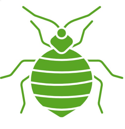 Bug
