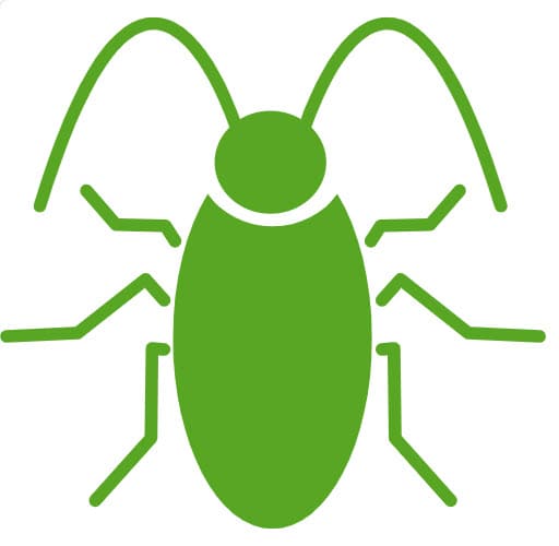 Pest