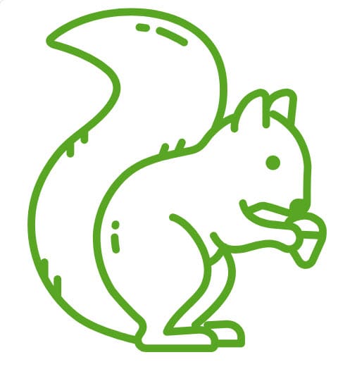 Wildlife