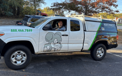 Effective Strategies Commercial Exterminators Use to Protect Your Business