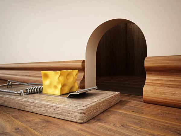 Pest Control Myths Pest Control Myths