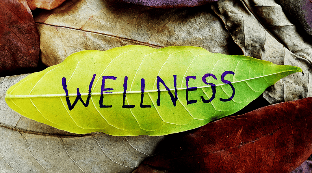 Why Fort Myers Homeowners Are Switching to Green Pest Control to Improve Overall Health and Wellness