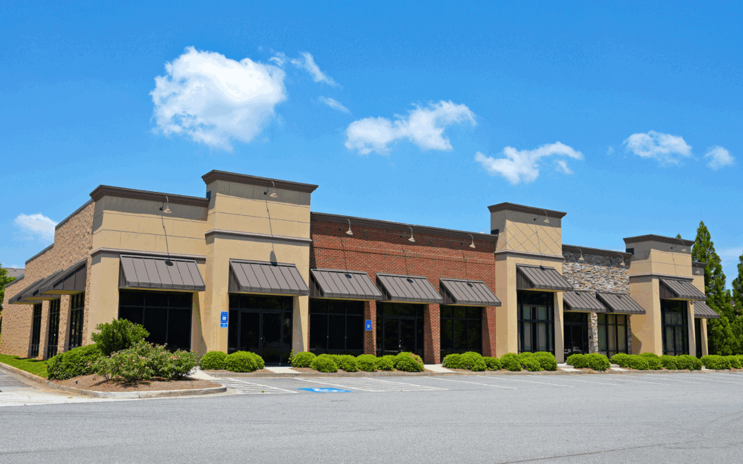 How Commercial Exterminators Protect Your Business from Pests Year-Round