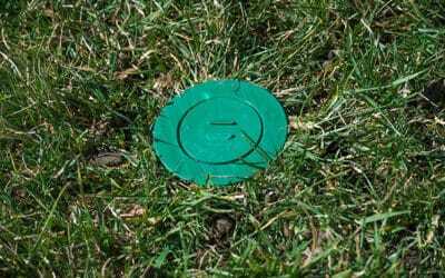 Why Green Circles Are Appearing Around Your Home and What to Do About Them