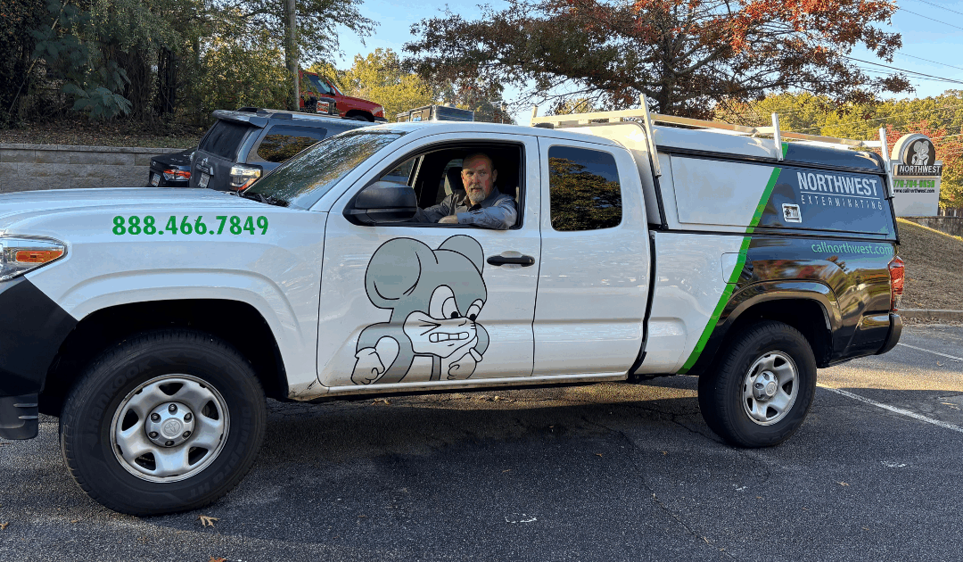 Effective Strategies Commercial Exterminators Use to Protect Your Business