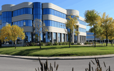 Choosing Sustainable Pest Control for Your Retail Business: A Quick Guide