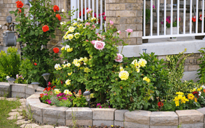 Fall Pest Control for Florida Gardens: Keep Your Plants Healthy and Bug-Free