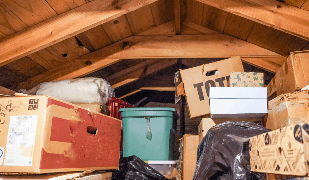 Attic Invaders in Bonita Springs: Identifying and Removing Pests Before Winter