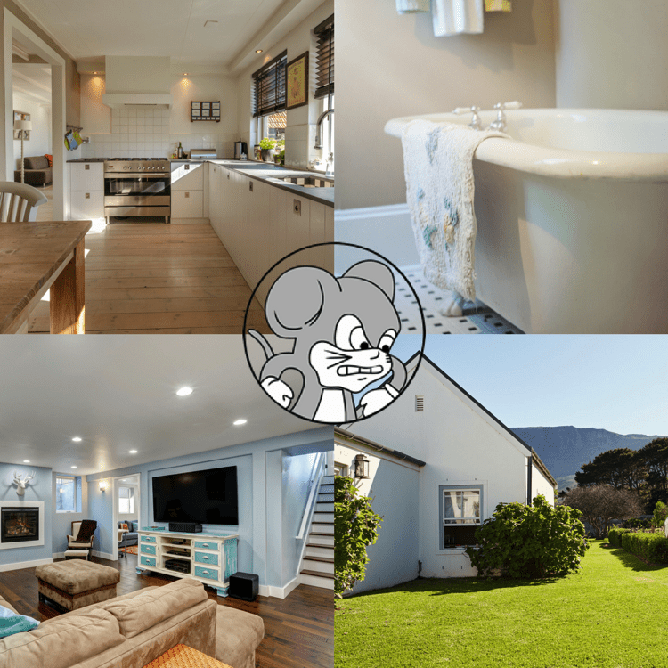 spring cleaning blog graphic spring pest prevention