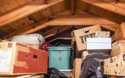Attic Invaders in Bonita Springs: Identifying and Removing Pests Before Winter
