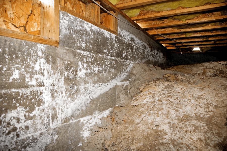 Augusta Crawl Space Care